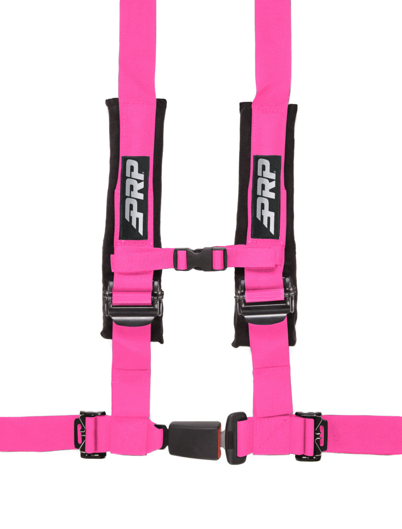 PRP 4.2 Harness