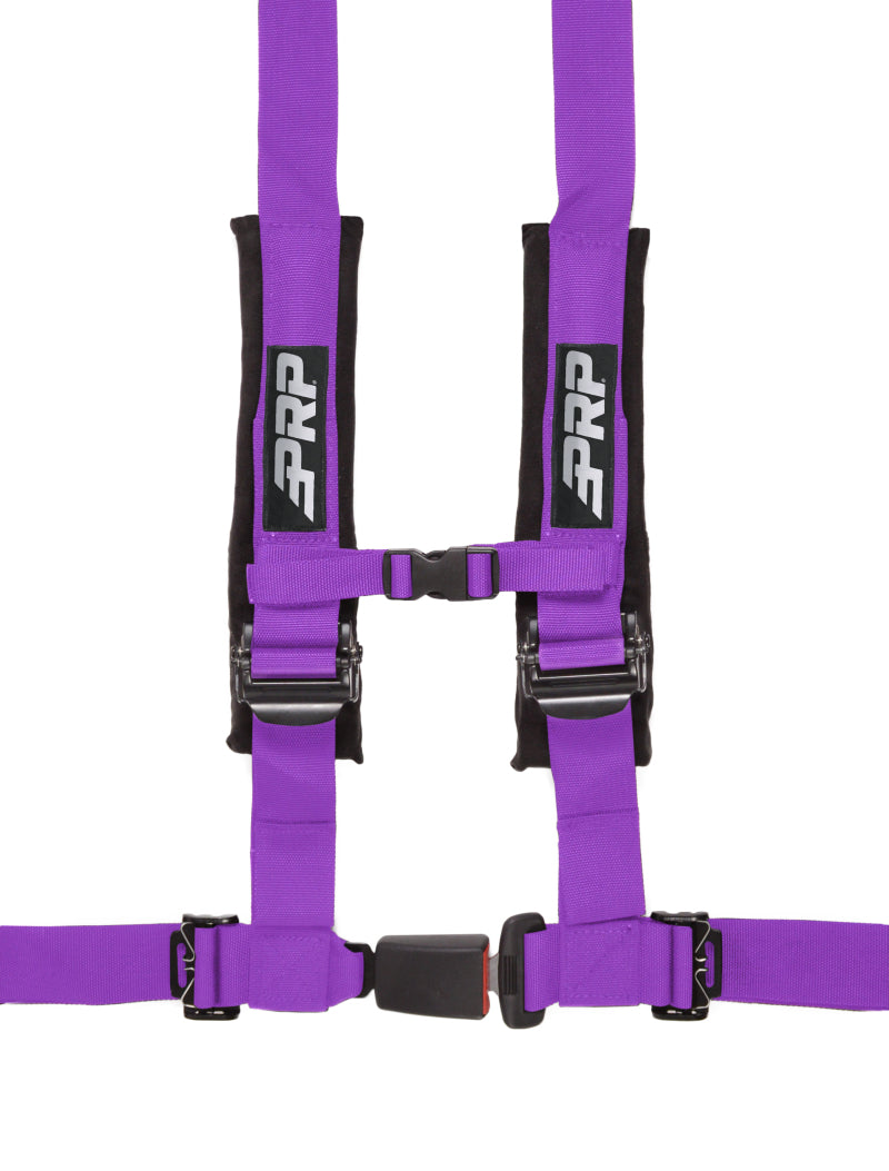 PRP 4.2 Harness